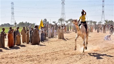 محافظ الأقصر يشهد انطلاق بطولة سباق الهجن بإسنا (صور)