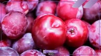 تفسير حلم البرقوق في المنام وعلاقته بقدوم الخير والرزق الوفير 