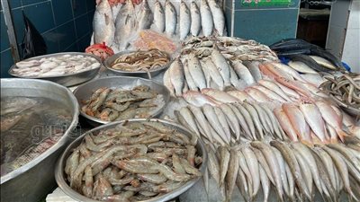 أسعار السمك اليوم، انخفاض السبيط والبرانيس في سوق العبور 