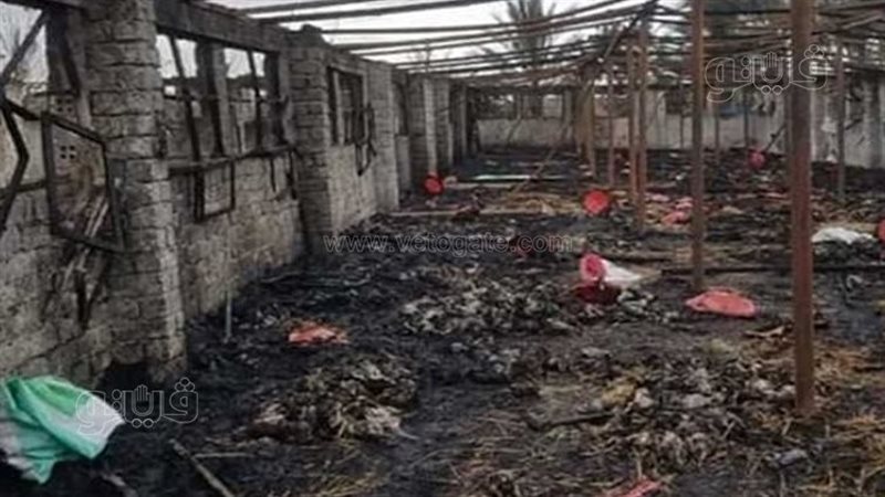 حريق مزرعة بالشرقية،فيتو