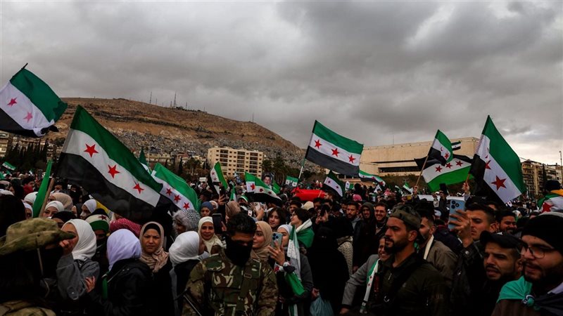 سوريا، فيتو