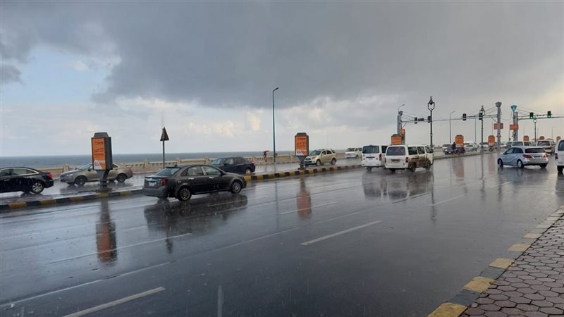 حالة الطقس غدا، فيتو
