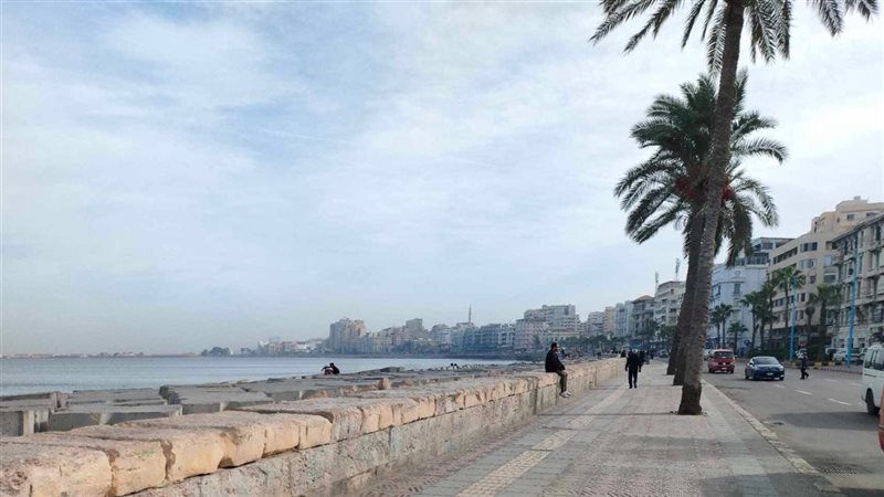حالة الطقس، فيتو