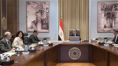 مدبولي يتابع إجراءات طرح شركتي 