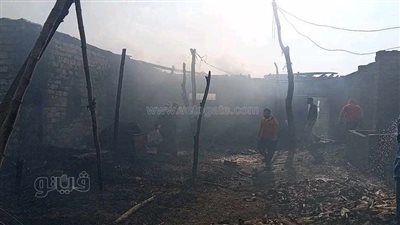 حريق داخل حظيرة مواشي بالصف يسفر عن نفوق حيوانات وطيور
