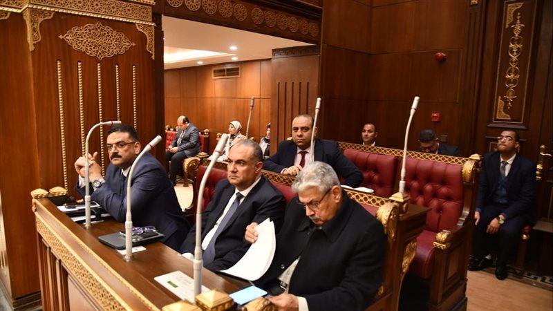 مجلس الشيوخ، فيتو