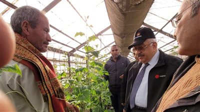 اتحاد منتجي الحاصلات البستانية يتابع الصوب الزراعية في النوبارية وقها