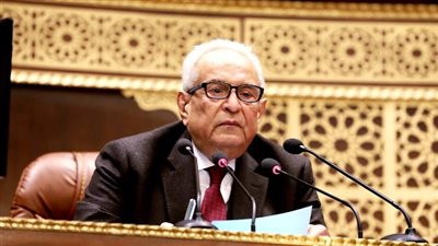 وكيل الشيوخ: الشائعات أسقطت دول، ونطالب بتوفير الدعم اللازم لقصور الثقافة 