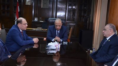 وزير الكهرباء يناقش إجراءات تسريع تنفيذ مشروع الضبعة النووية