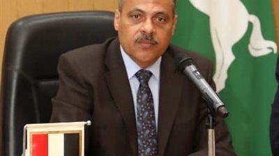 منشأة أبو عمر في الشرقية خلال 2024.. 3 مشروعات خدمية أوشكت على الانتهاء 