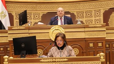 مجلس الشيوخ يحيل طلبي مناقشة بشأن قصور الثقافة والحرف اليدوية للجنة المختصة