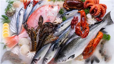  أسعار السمك اليوم، ارتفاع 11 صنفًا في سوق العبور