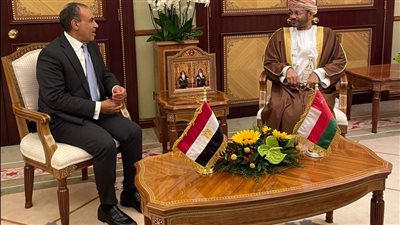 مباحثات بين وزير الخارجية والهجرة ونظيره العماني