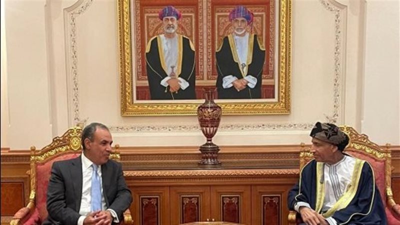 الدكتور بدر عبد العاطى
