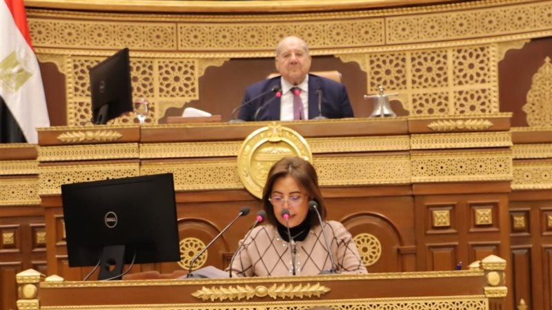 مجلس الشيوخ، فيتو