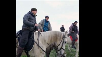 4 إسبان يثيرون الدهشة، قرروا السير بخيولهم إلى مكة للحج على طريقة الأندلسيين (فيديو) 