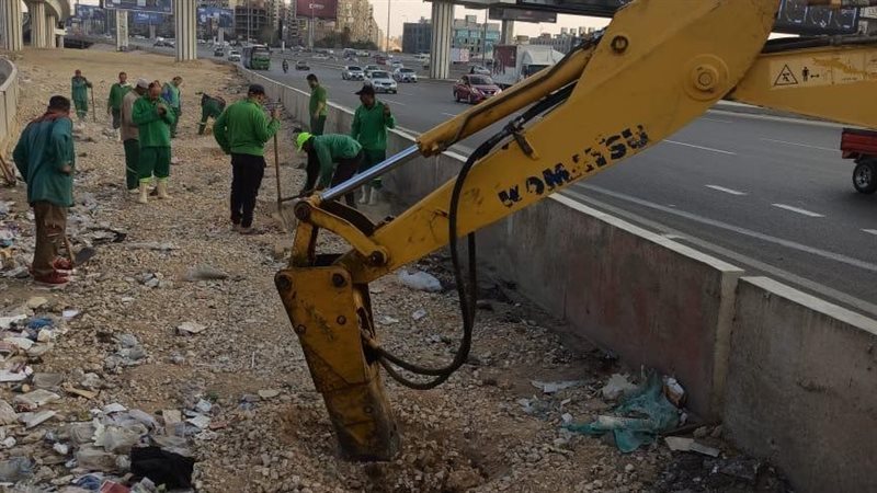 تشجير الطريق الدائرى،
