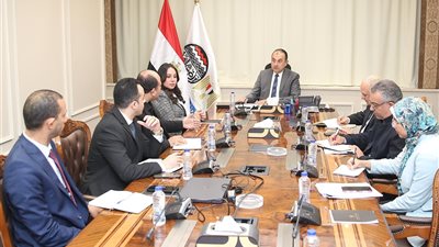 وزير قطاع الأعمال العام يلتقي وفدا من مبادرة 