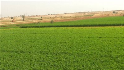 خطة النواب توافق نهائيًّا على مد وقف العمل بقانون ضريبة الأطيان 