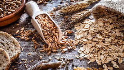 أسعار الشوفان بالأسواق مساء اليوم الأربعاء 8-1- 2025 