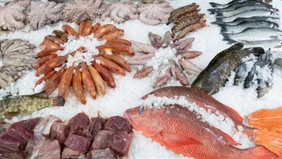 أسعار السمك اليوم، انخفاض البلطي والبوري في سوق العبور