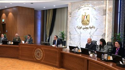  الوزراء يوافق على تعديل لإنشاء برامج هندسية جديدة بالجامعات الأوروبية في مصر