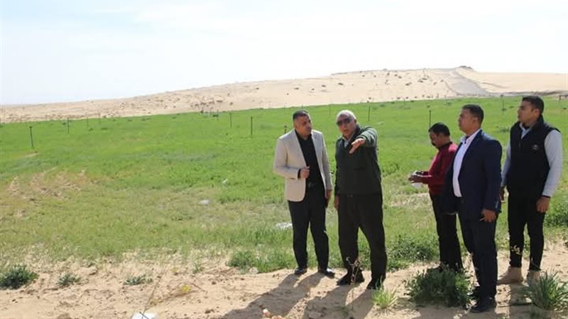 الوادي الجديد، ڤيتو