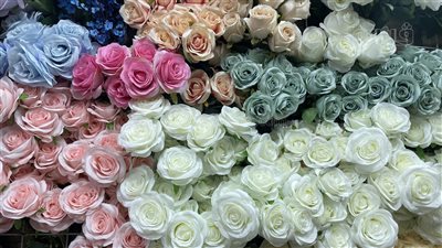 «الورد الصناعي.. زينة دائمة بلمسة من الطبيعة».. سعر البوكيه يبدأ من 350 جنيهًا.. البلدي والتوليب «أشهر الأنواع».. وهذه أبرز التحديات أمام التجار (فيديو وصور)