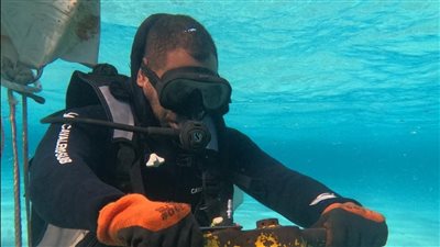 وزيرة البيئة تطلق مبادرة لحماية الشعاب المرجانية في رأس محمد