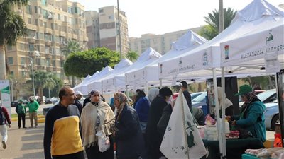 إقبال المواطنين على سوق اليوم الواحد بالإسكندرية 