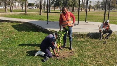 جهاز تجميل الإسماعيلية يواصل أعمال رفع كفاءة المسطحات والميادين (صور) 