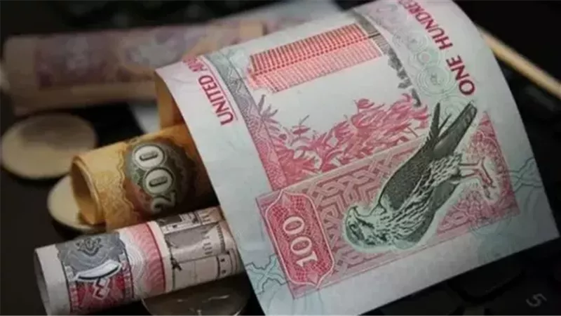 الدرهم الإماراتى،