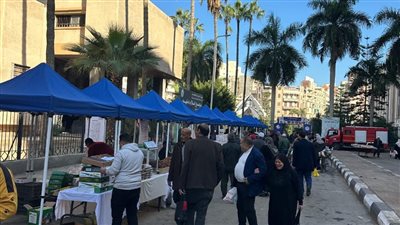 توفير السلع الغذائية بأسعار تنافسية بسوق اليوم الواحد في دمنهور للأسبوع الخامس على التوالي