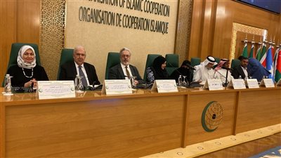 مستشار شيخ الأزهر: مصر بحضارتها العريقة تحملت حفظ اللغة العربية على مر الزمان