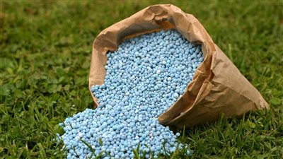  ارتفاع أسعار الأسمدة اليوم في الأسواق