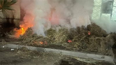 المعمل الجنائي يفحص حريق متحف الشمع بحلوان (صور)