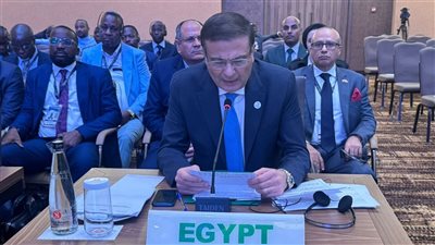  وزير الزراعة يؤكد أمام الاتحاد الأفريقي دعم مصر لإعلان كمبالا لتشجيع الاستثمار فى مجال الإدارة المستدامة والزراعة الذكية