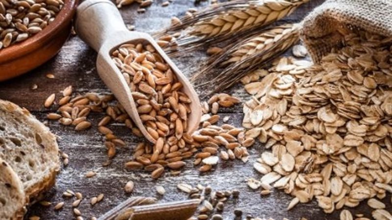 أسعار الشوفان اليوم،