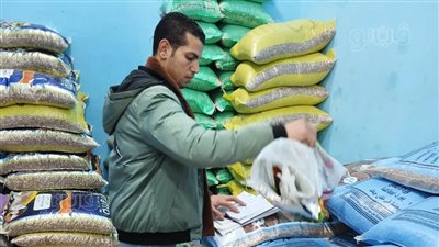 تحرير 19 محضرًا والتحفظ على مواد غذائية فاسدة في الواسطى ببني سويف