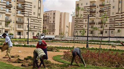 تفاصيل مشروع 