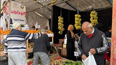 إقبال كبير على سوق اليوم الواحد للأسبوع الثاني على التوالي بالمنصورة (صور)