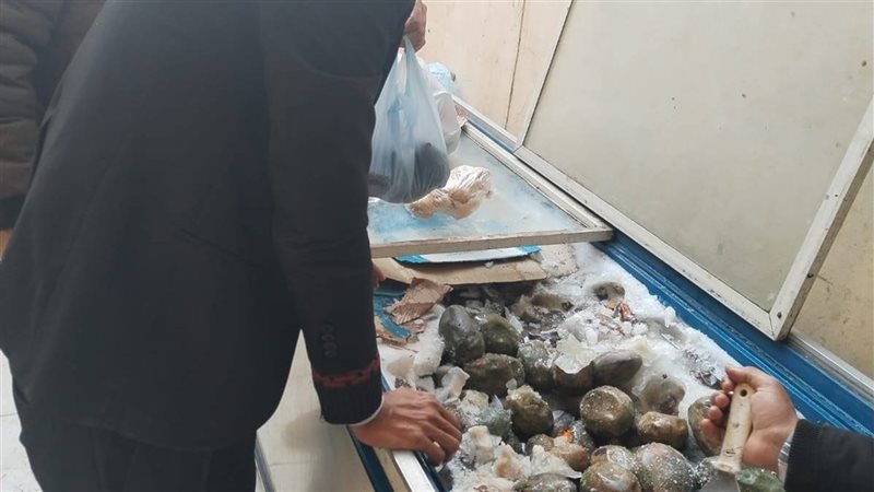 إعدام نصف طن لحوم