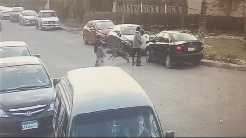 جانب من الحادث،فيتو