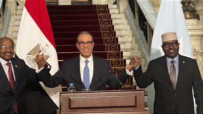 نص البيان المشترك لاجتماع اللجنة الوزارية بين مصر وإريتريا والصومال 