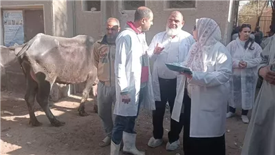  تحصين 242 ألف رأس ماشية ضد الحمى القلاعية والوادي المتصدع بالفيوم خلال ديسمبر