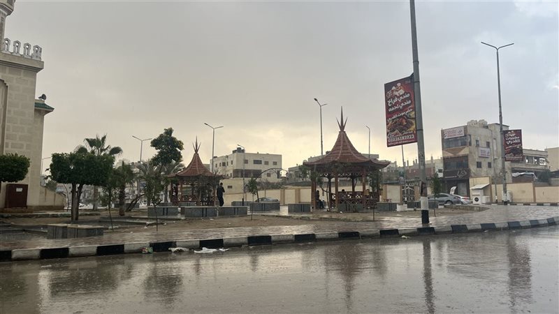 حالة الطقس غدا، فيتو