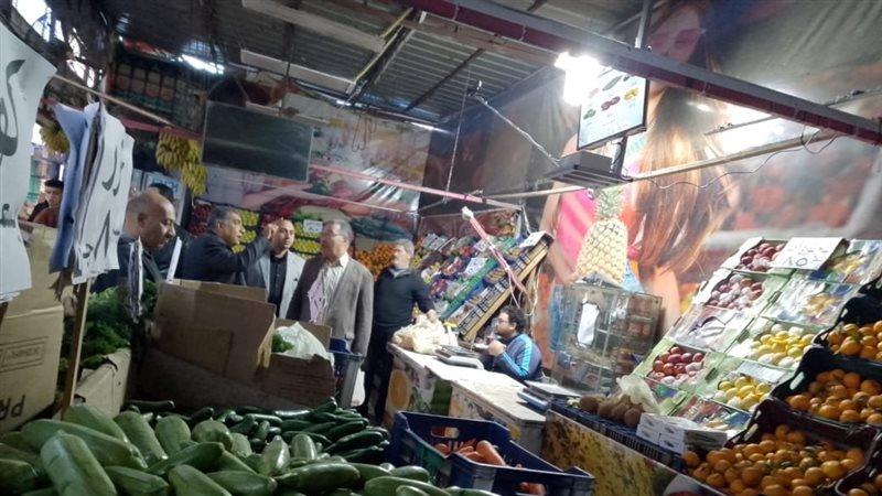 محافظ الدقهلية يتفقد