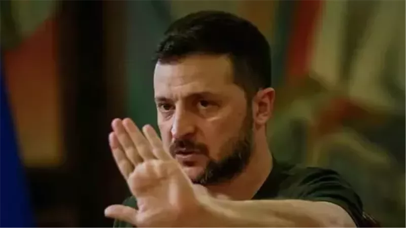 زيلينسكي،فيتو
