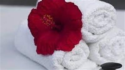 تفسير حلم دم الحيض في المنام وعلاقته بالتخلص من الذنوب والرزق الكثير