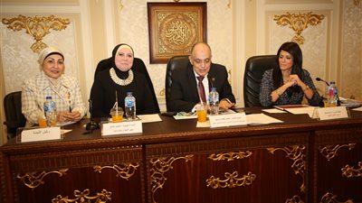 وزيرة الصناعة: إطلاق حملة إعلامية للتوعية بقانون المشروعات المتوسطة والصغيرة